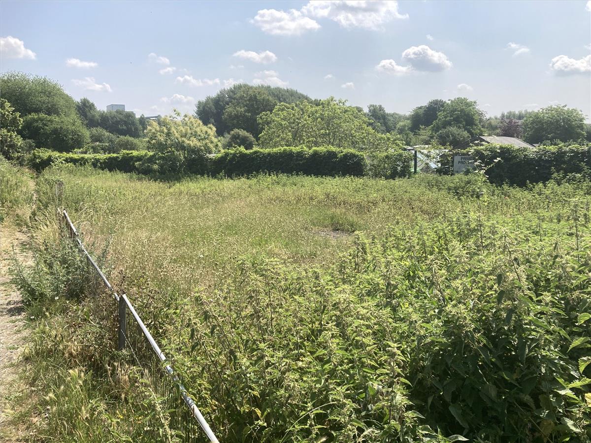 Property Image 9dd6929a-dfa8-47fa-9520-a1dc654c3aa5
