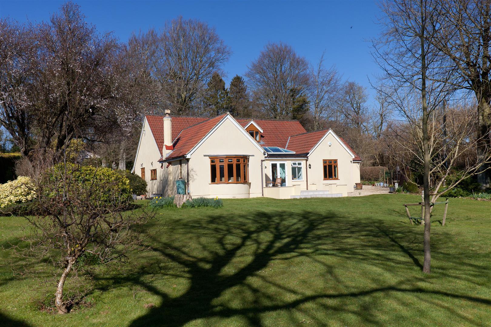 Property Image 9e211761-c4a3-4364-ad5d-e11d5a55c294