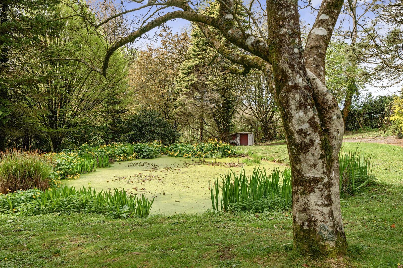 Property Image 9e69598a-d198-41ed-ad8e-75045bdff026