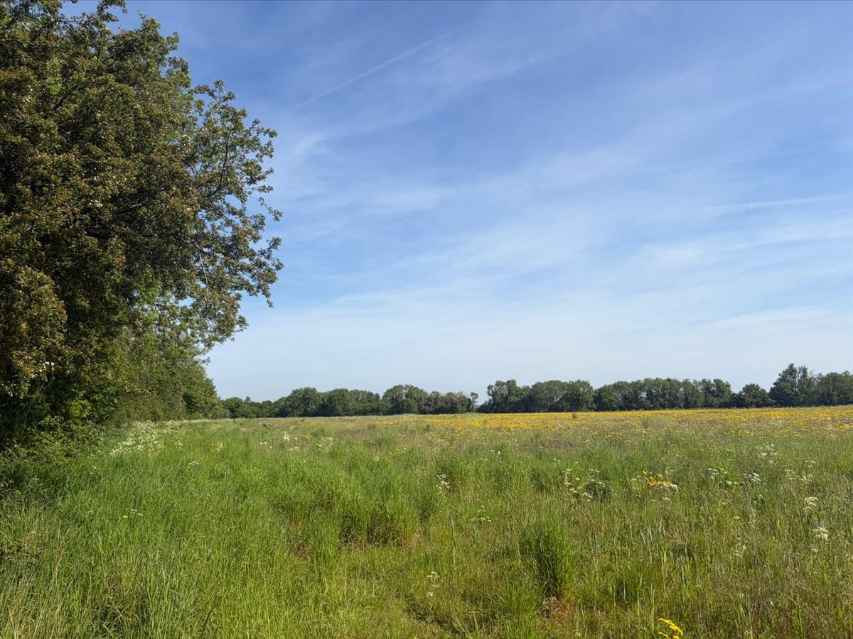 Property Image 9e6aaa73-b2d1-4938-83d0-b728533d92b6