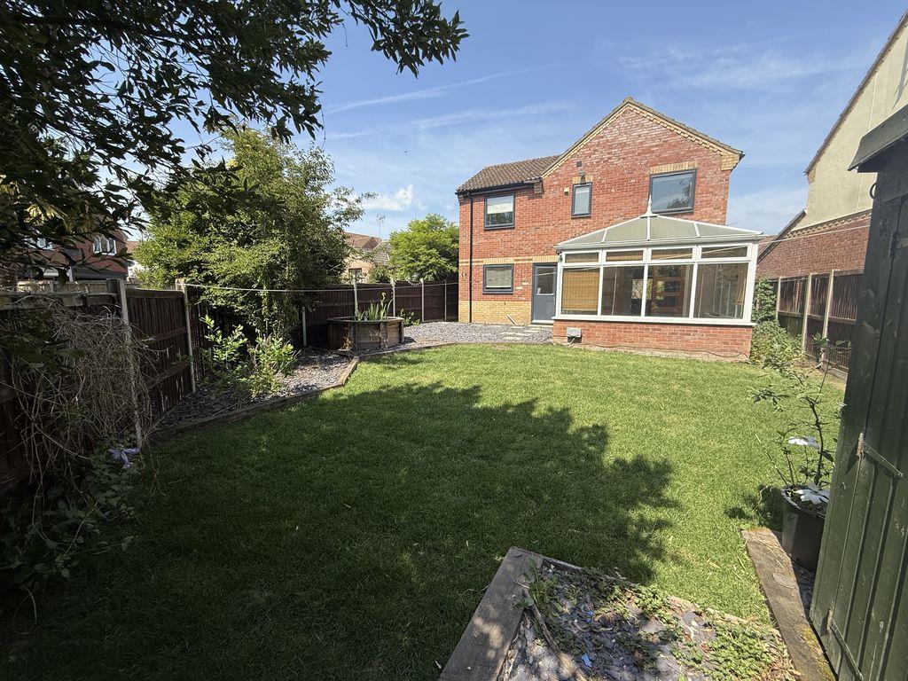 Image 19