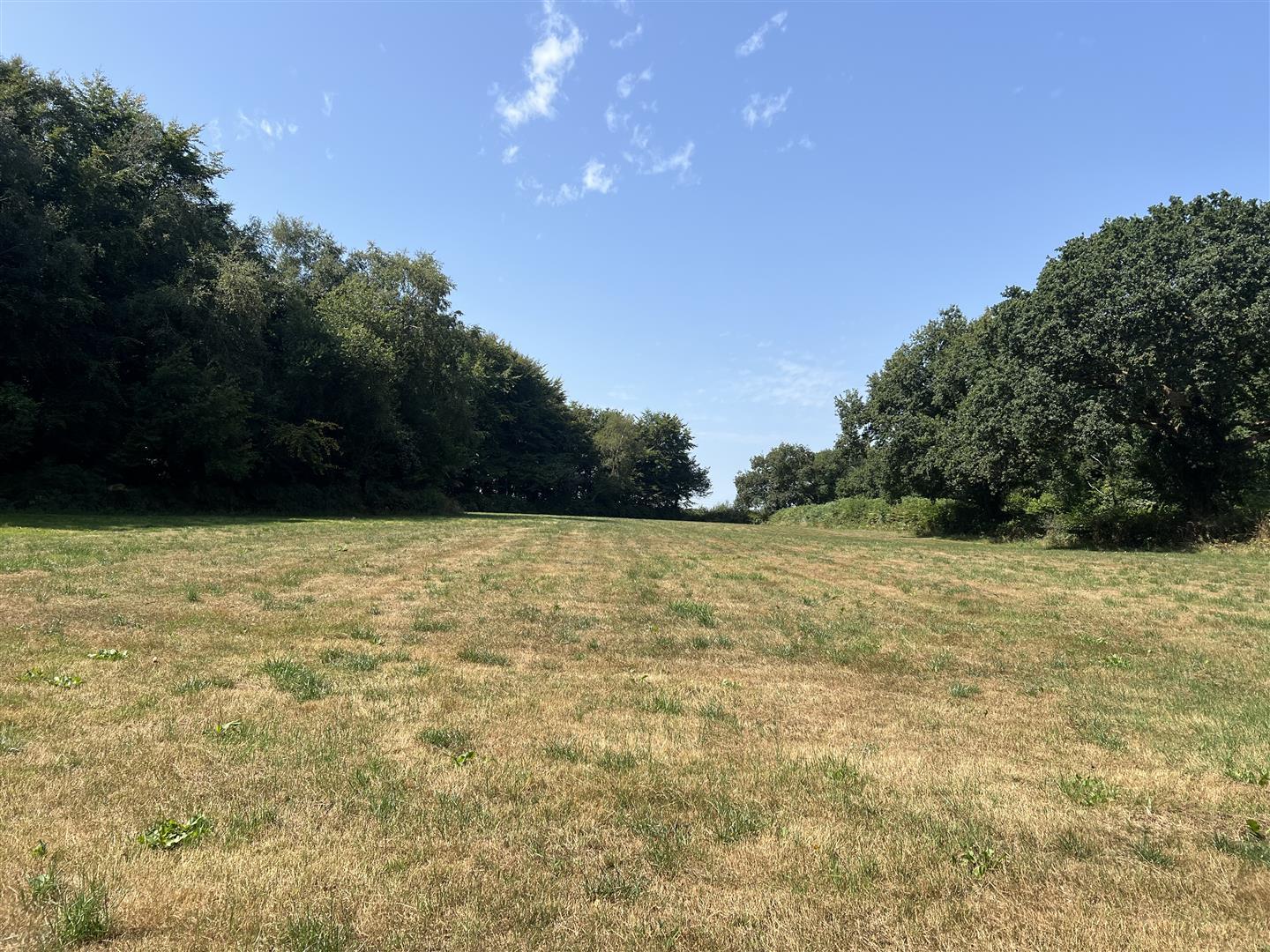 Property Image 9e8142b2-6da6-430e-b15d-6a7d4ce45733
