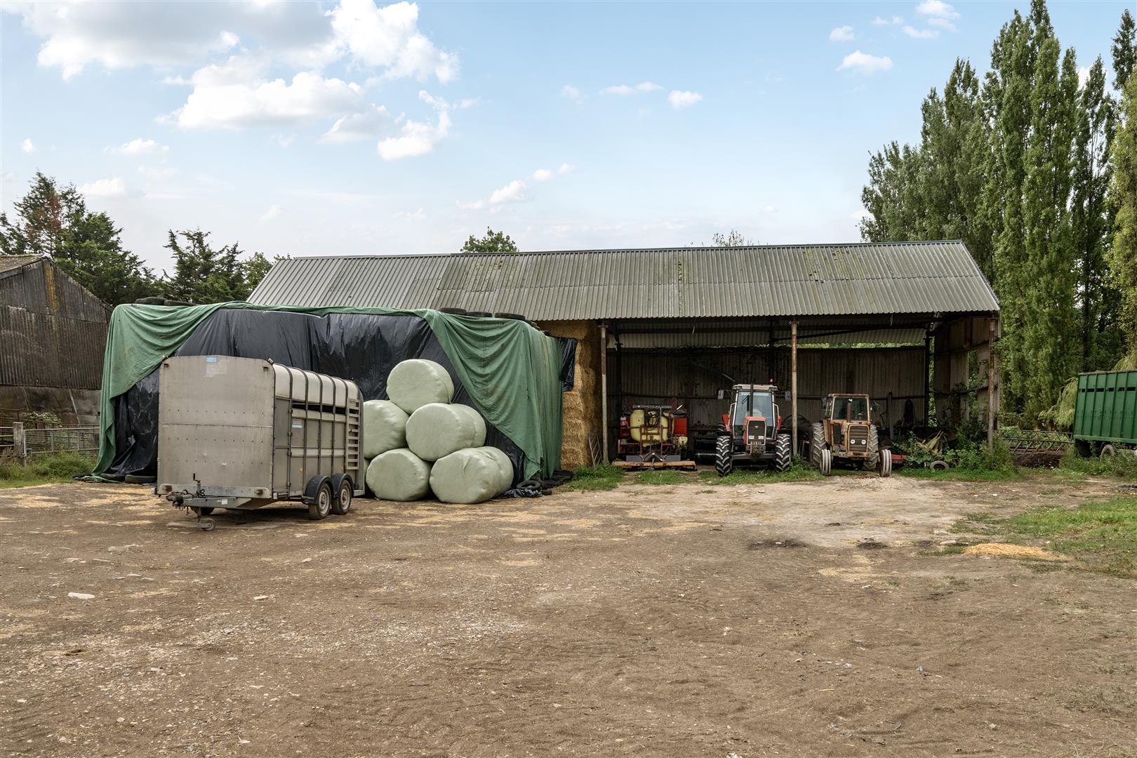 Image 31