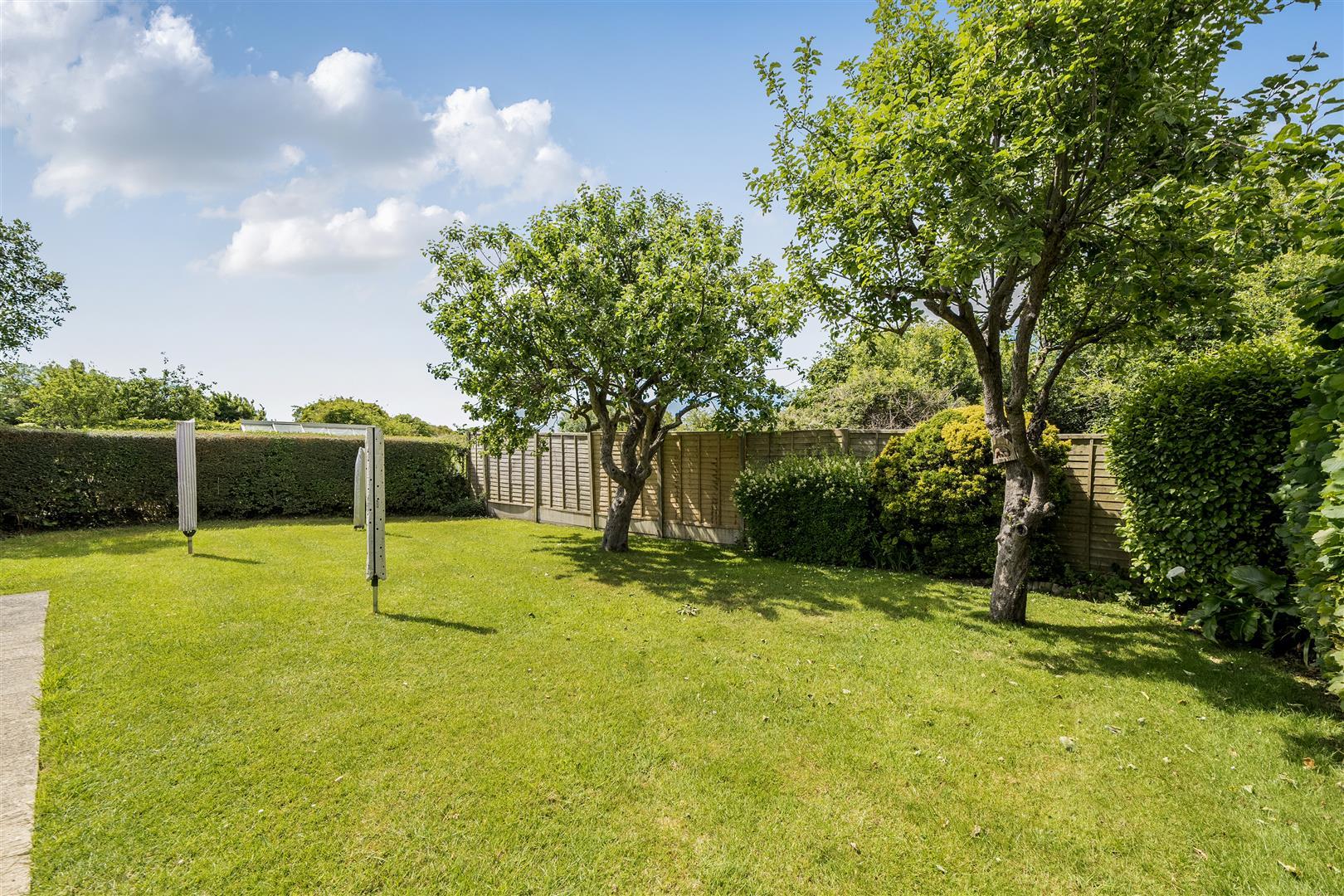 Property Image 9ed70059-b4b1-48f6-b9b7-314843dec188