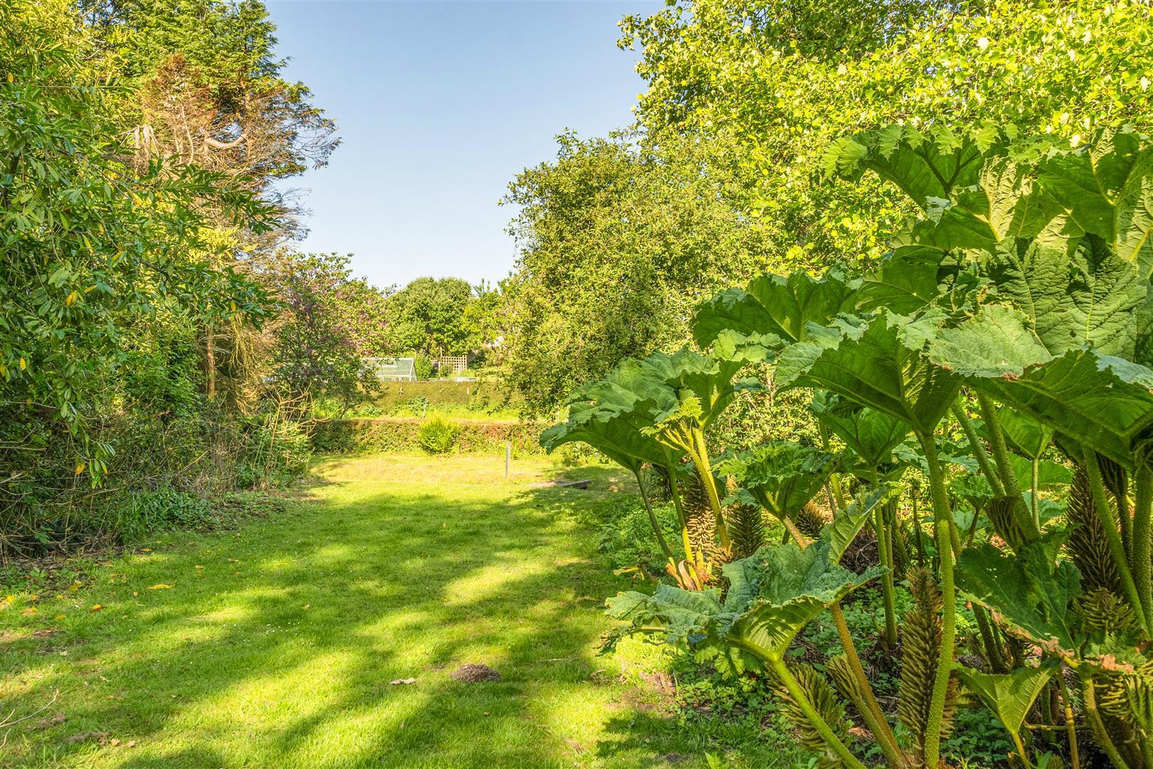 Property Image 9ed87ba4-2bf8-408f-8cfb-3f33f919a4ee