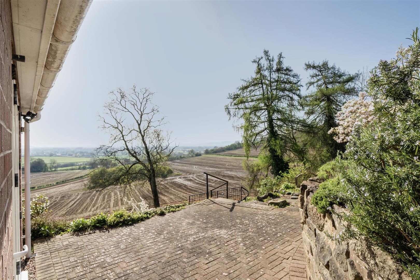 Property Image 9ee5784c-48c1-4ccd-8b46-4ff6adb50db3