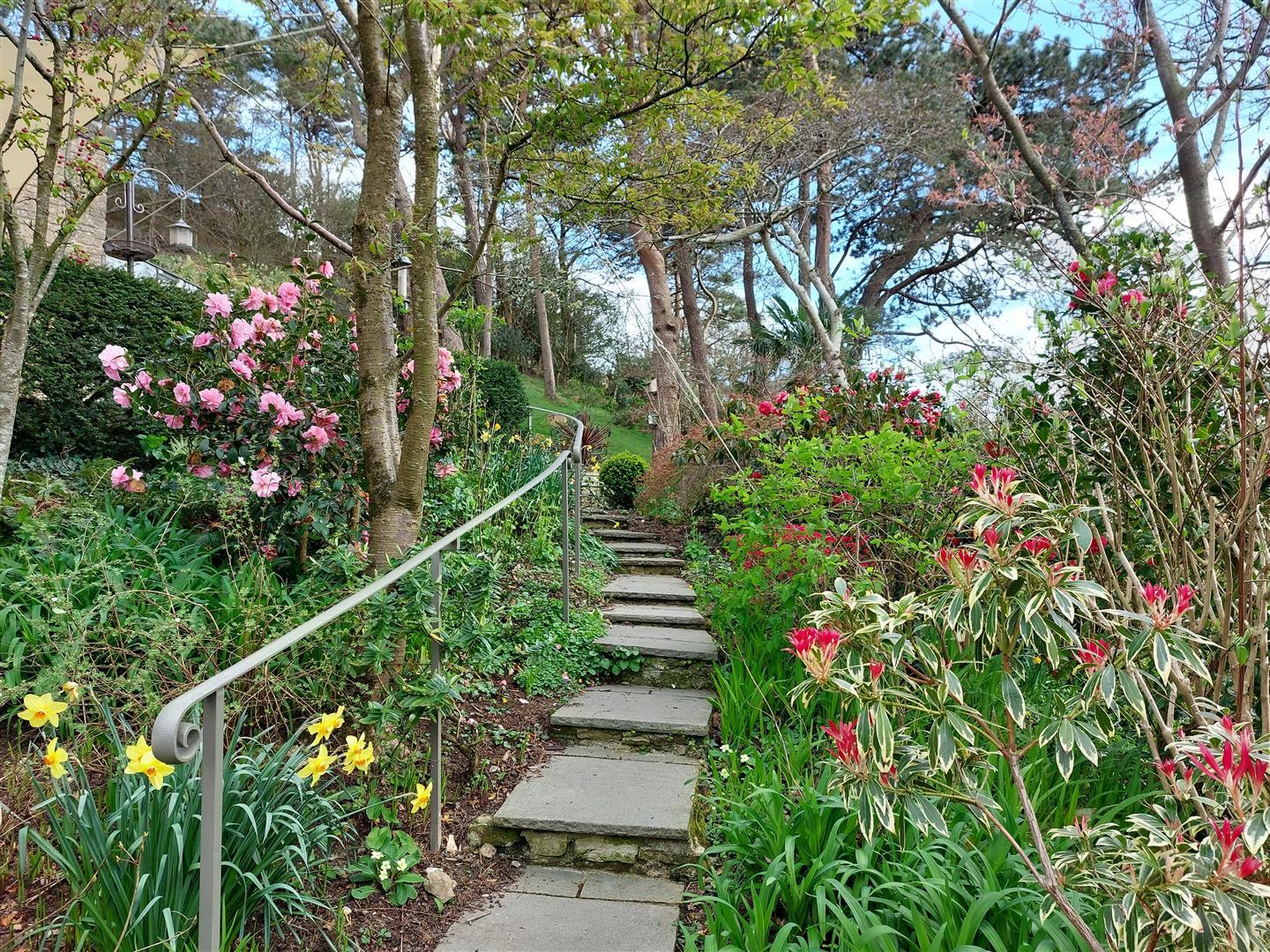 Property Image 9ef3ab62-c8c5-47f6-b3c1-51aac0039c40