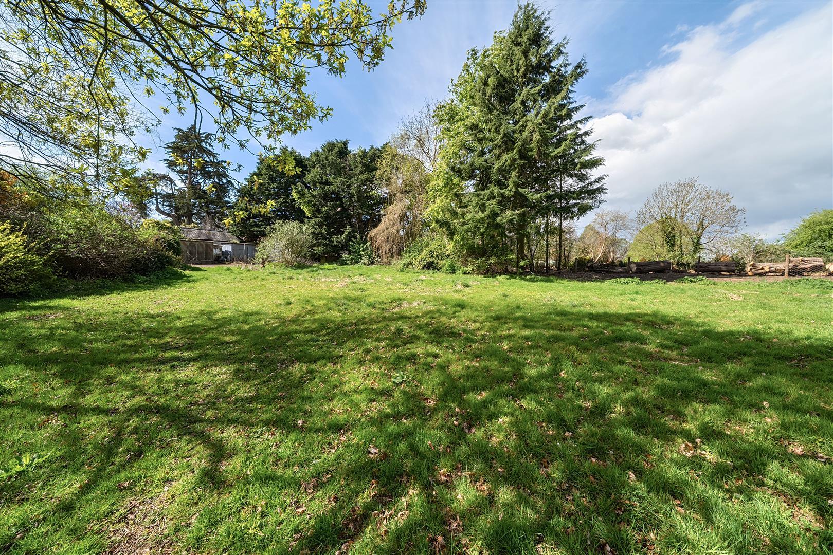 Property Image 9efa0041-b630-4dd6-b10a-f5cfbe9e1d19