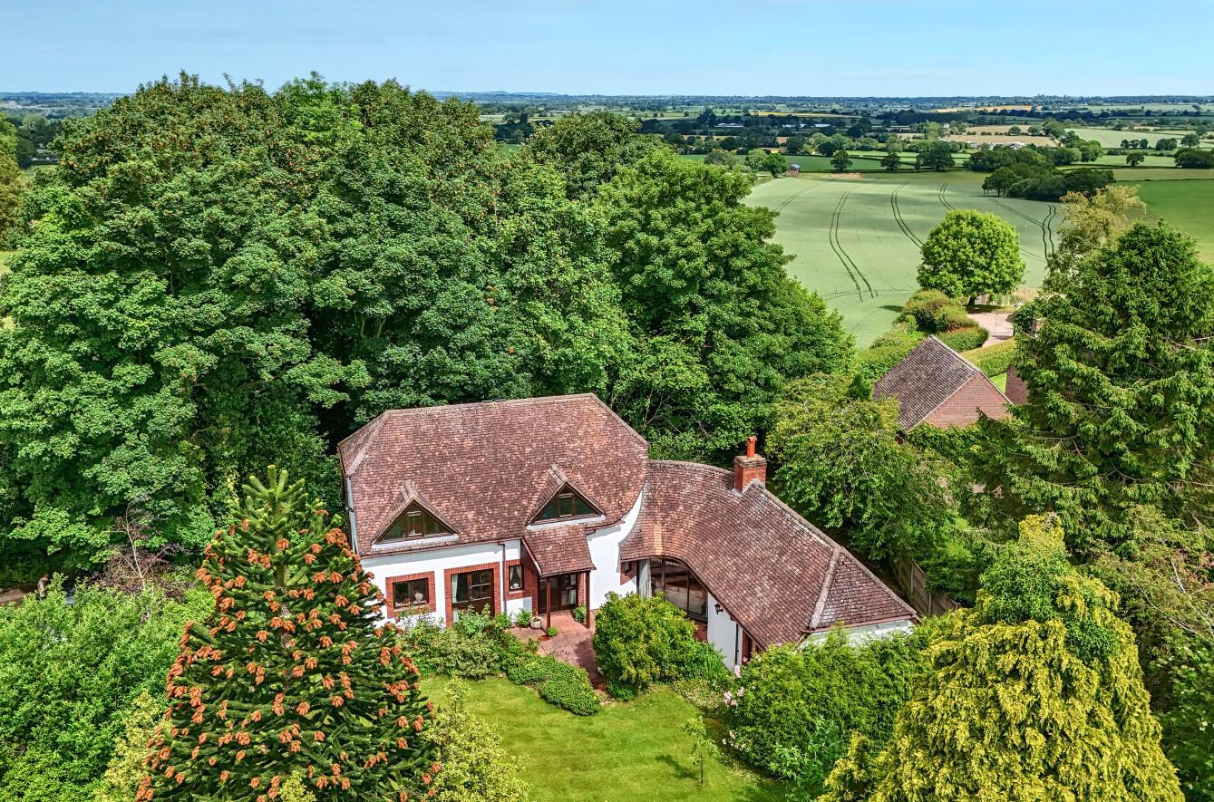 Property Image 9f0149fe-6ee1-4307-b229-3506321b3e4c