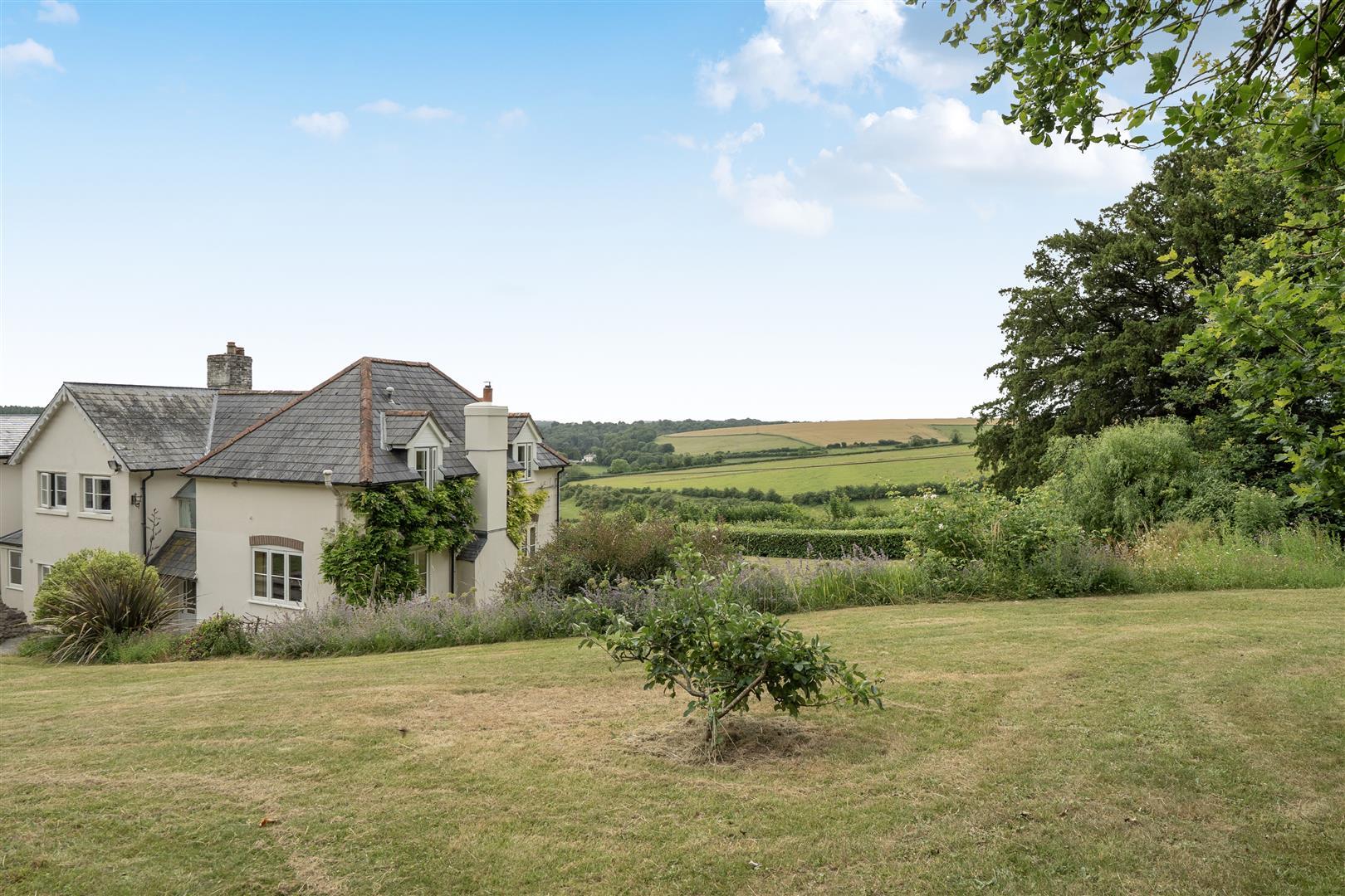 Image 25