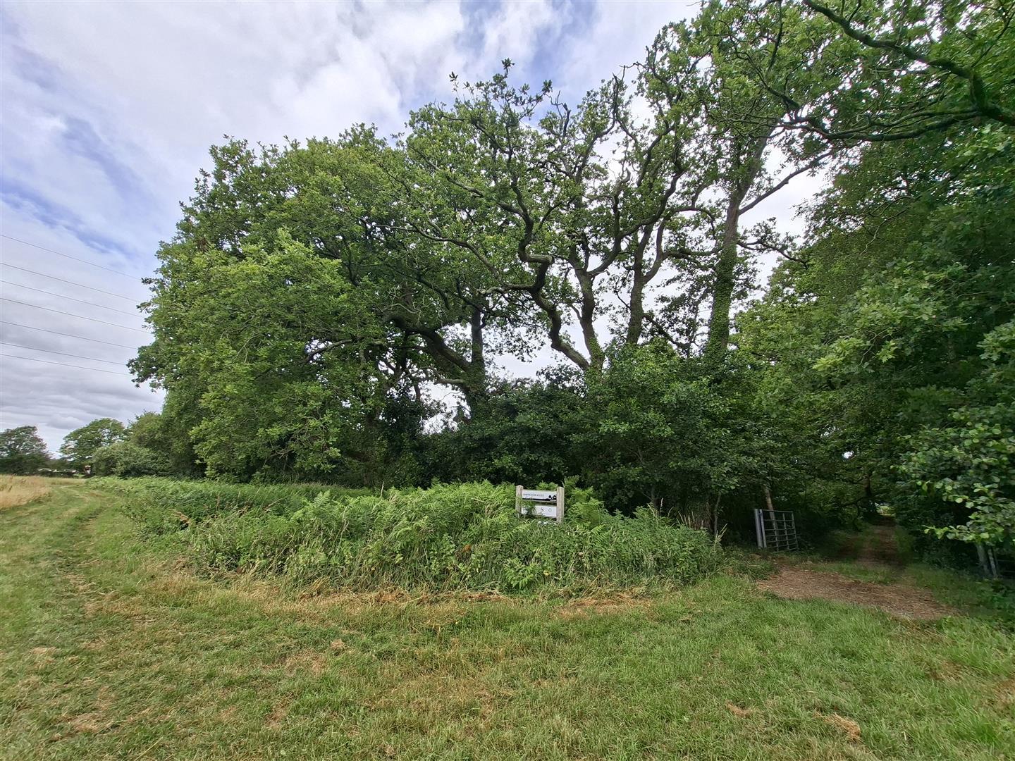 Property Image 9f19778b-4463-44f5-b884-3c7854b9e646