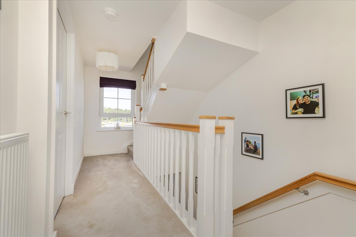Property Image 9f375539-6e28-48c1-bef5-29253c6eb542