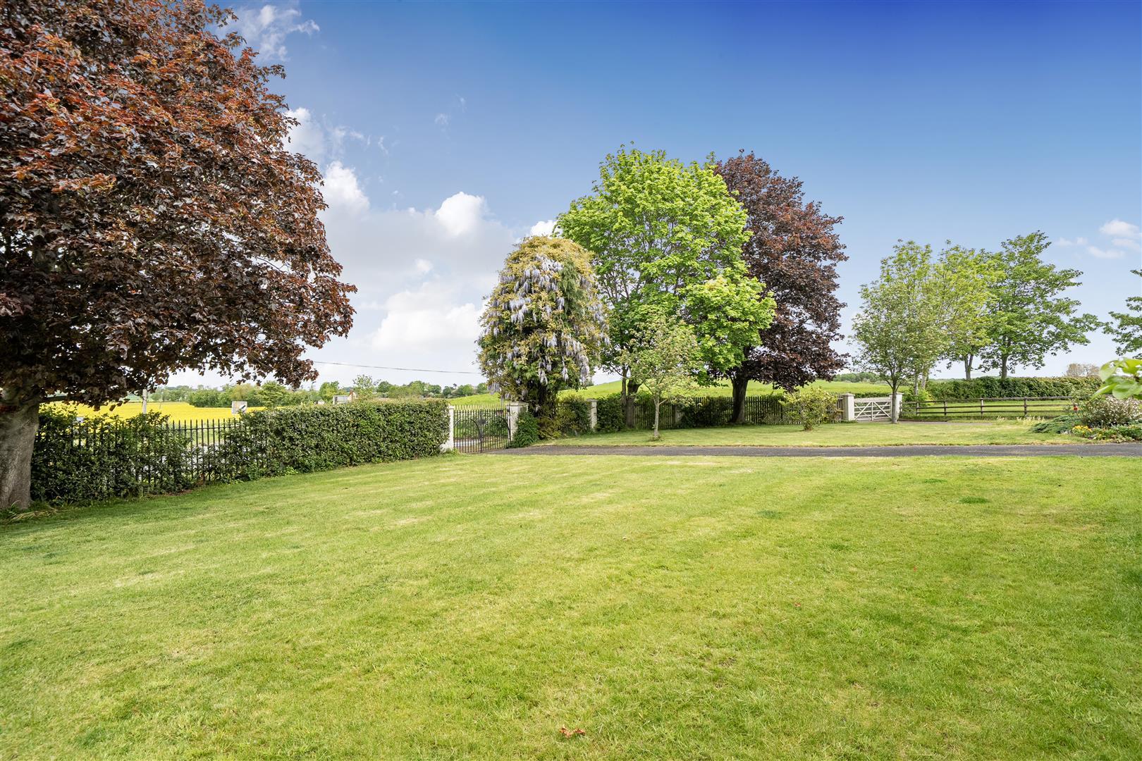 Property Image 9f60421c-eadf-4f75-b80b-e1c78c934bb9