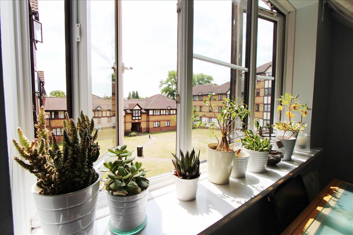 Property Image 9f647bee-f0d3-4481-9a90-52684730527b