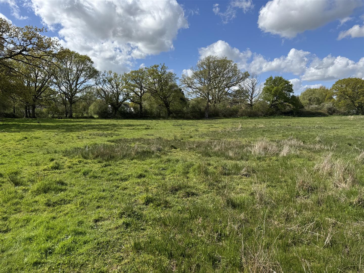 Property Image 9f763f2f-23f3-4d3c-9792-2c66dd23c2c9