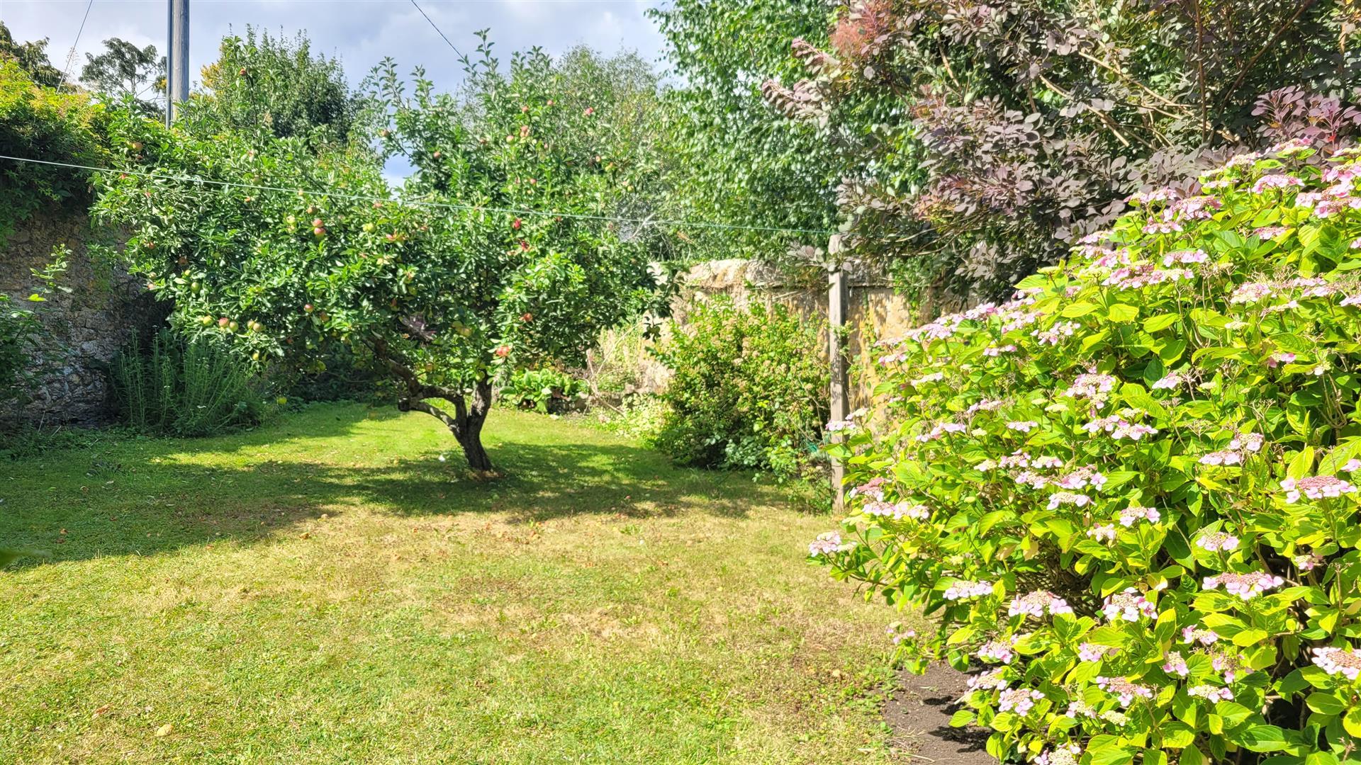 Property Image 9f79cea5-7528-41b1-8055-0ac9265bdc92