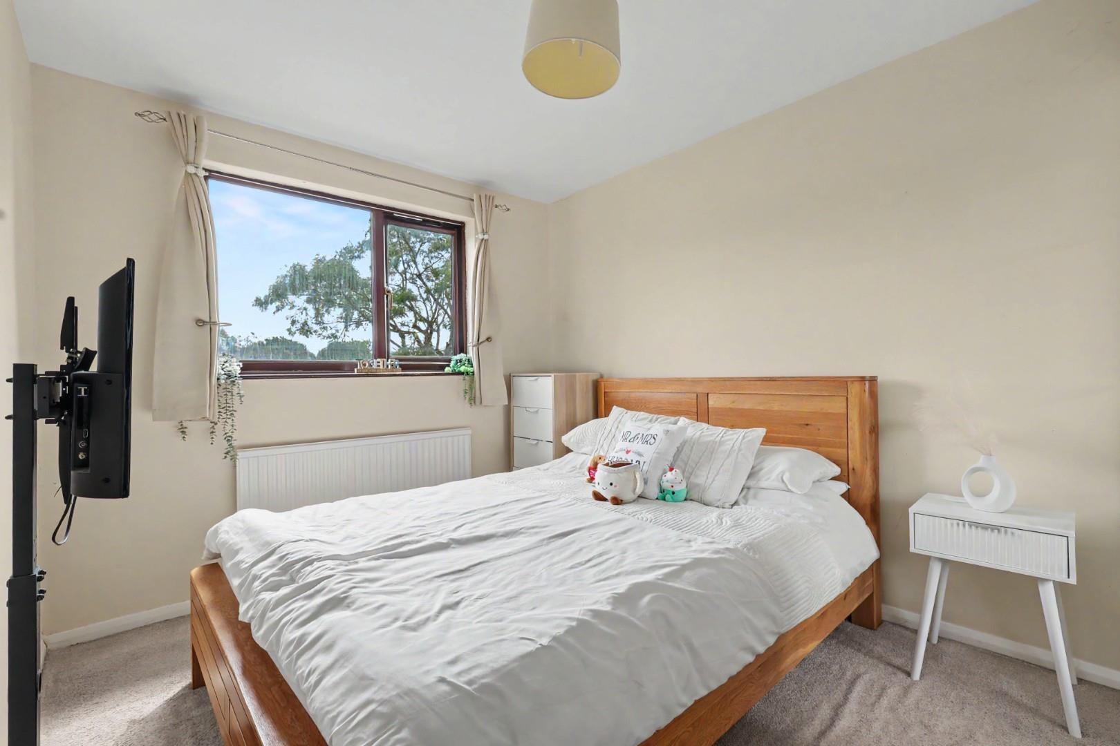 Property Image 9f8026ea-d72c-4036-964f-0d2a948bc1f7