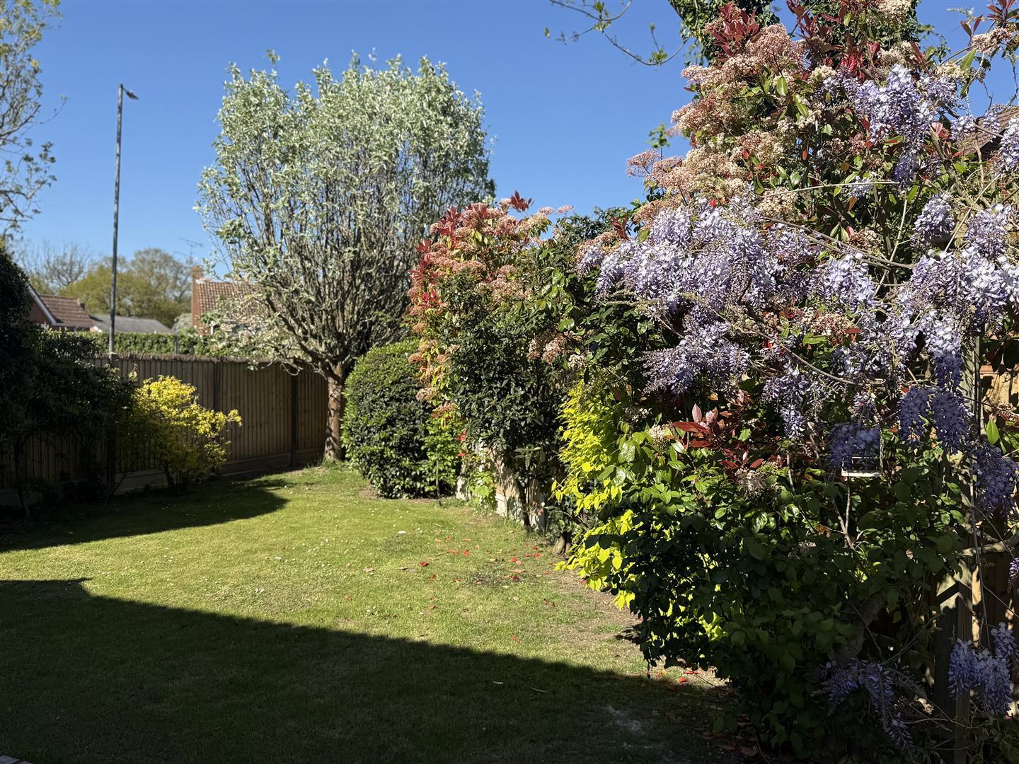 Property Image 9f82db55-adc6-47eb-9f76-8be6c1948df8