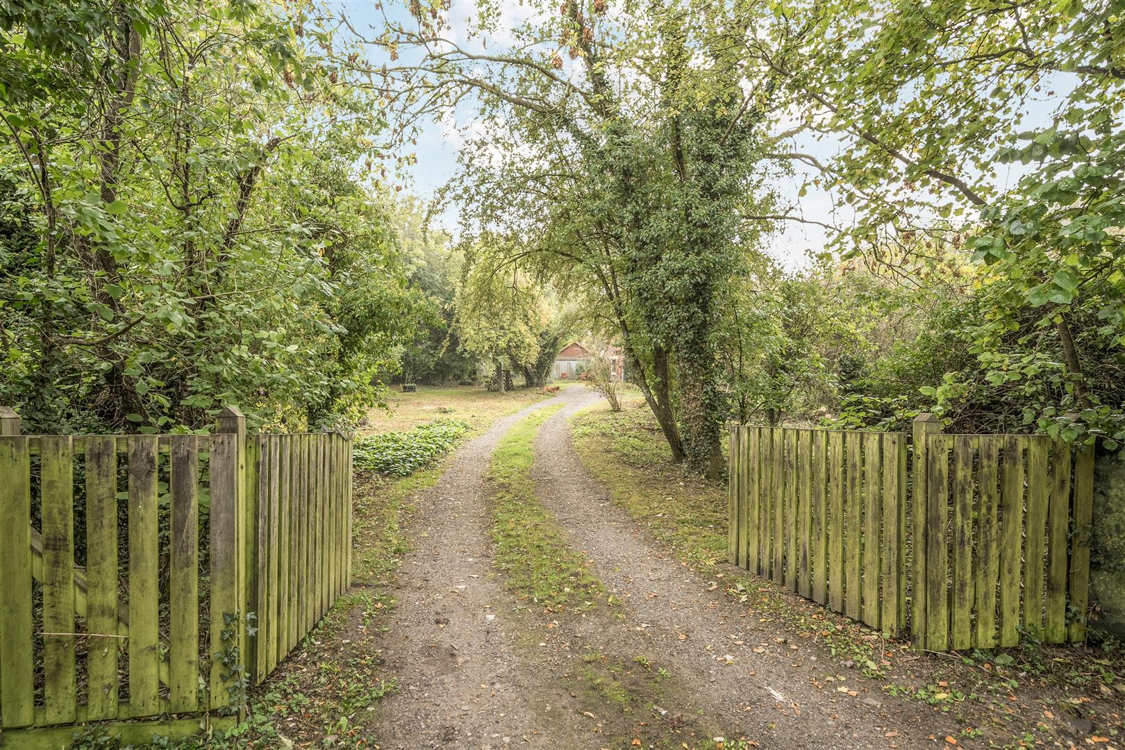 Property Image 9f94463e-23cf-41db-be50-f09465c2181a