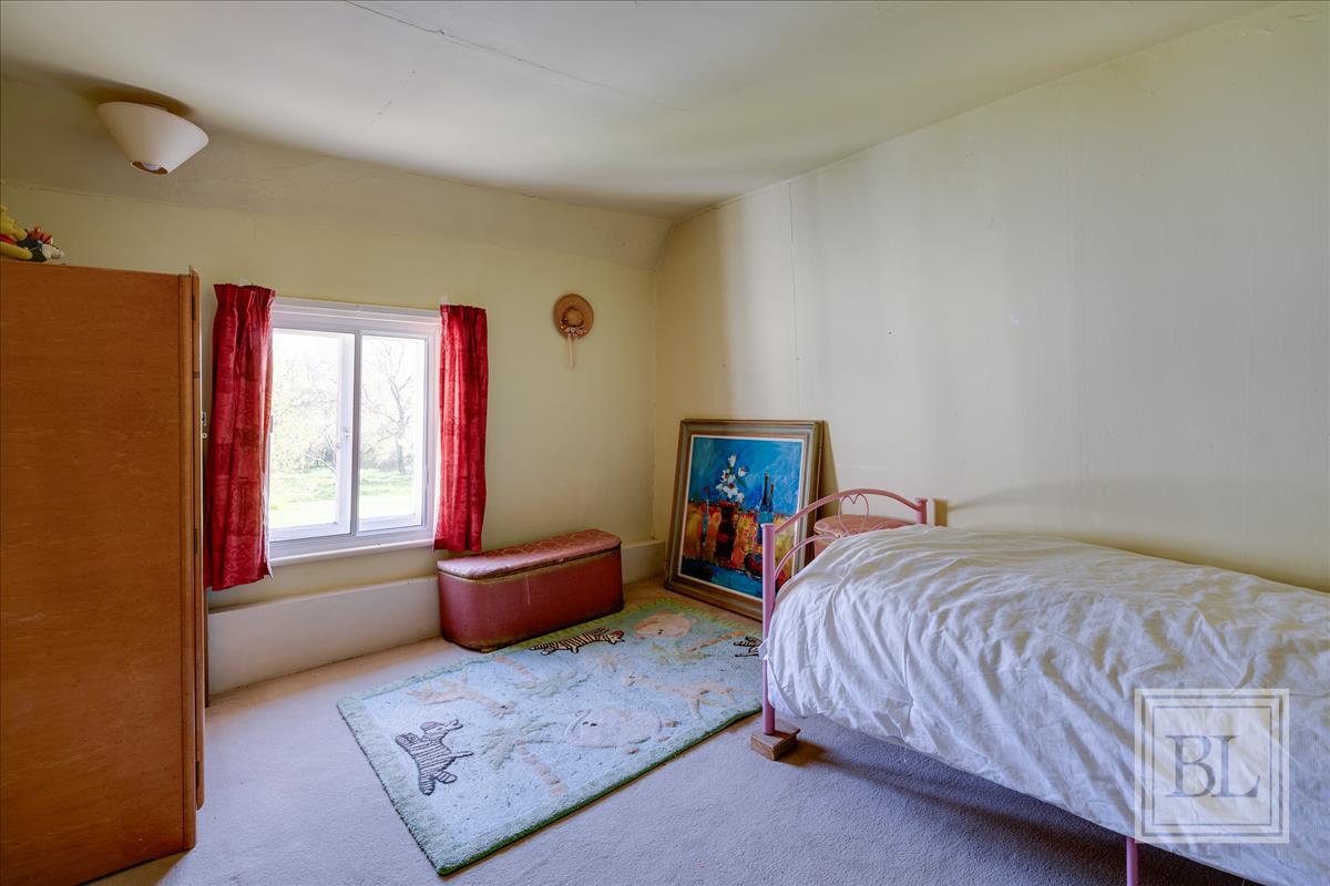 Property Image 9f999e12-55f7-4fed-b8ec-4ca35a89841e
