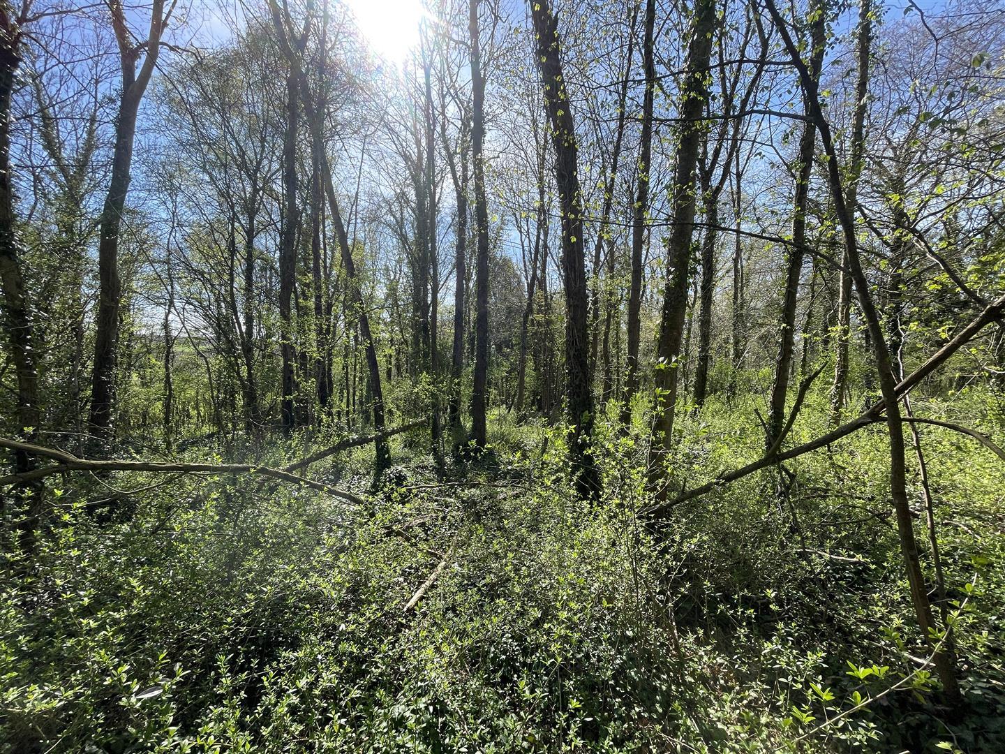 Property Image 9f9b13ac-2f16-4cec-a3aa-4f0467f3c2a7