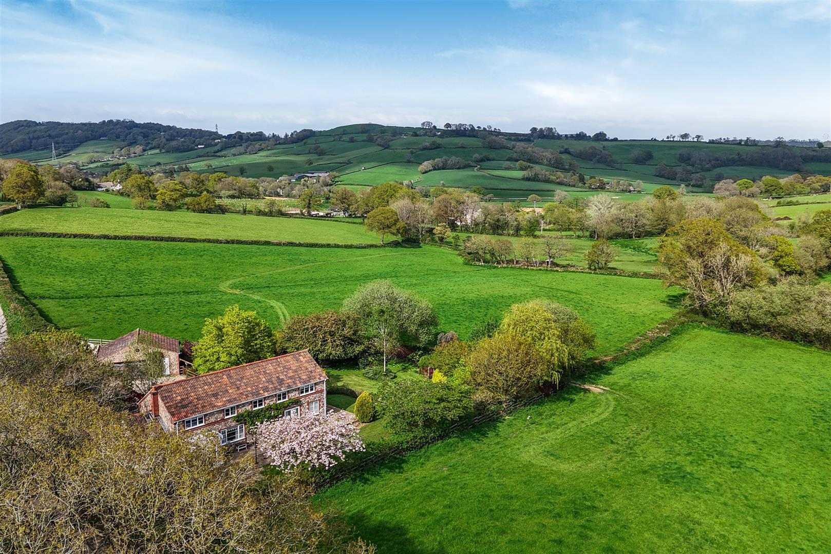 Property Image 9fb2f4b3-3ae8-45b8-af52-7f1079ec586f