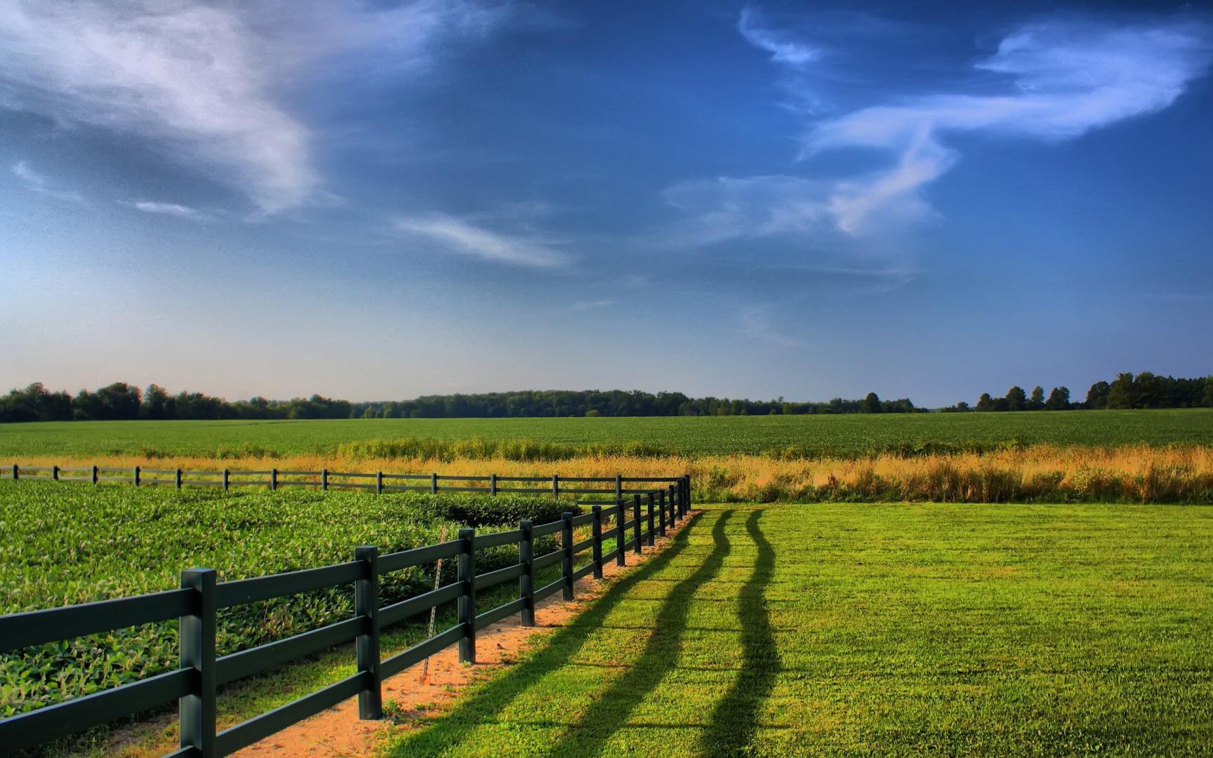 Farm Land Agents Lincolnshire Nottinghamshire Leicestershire