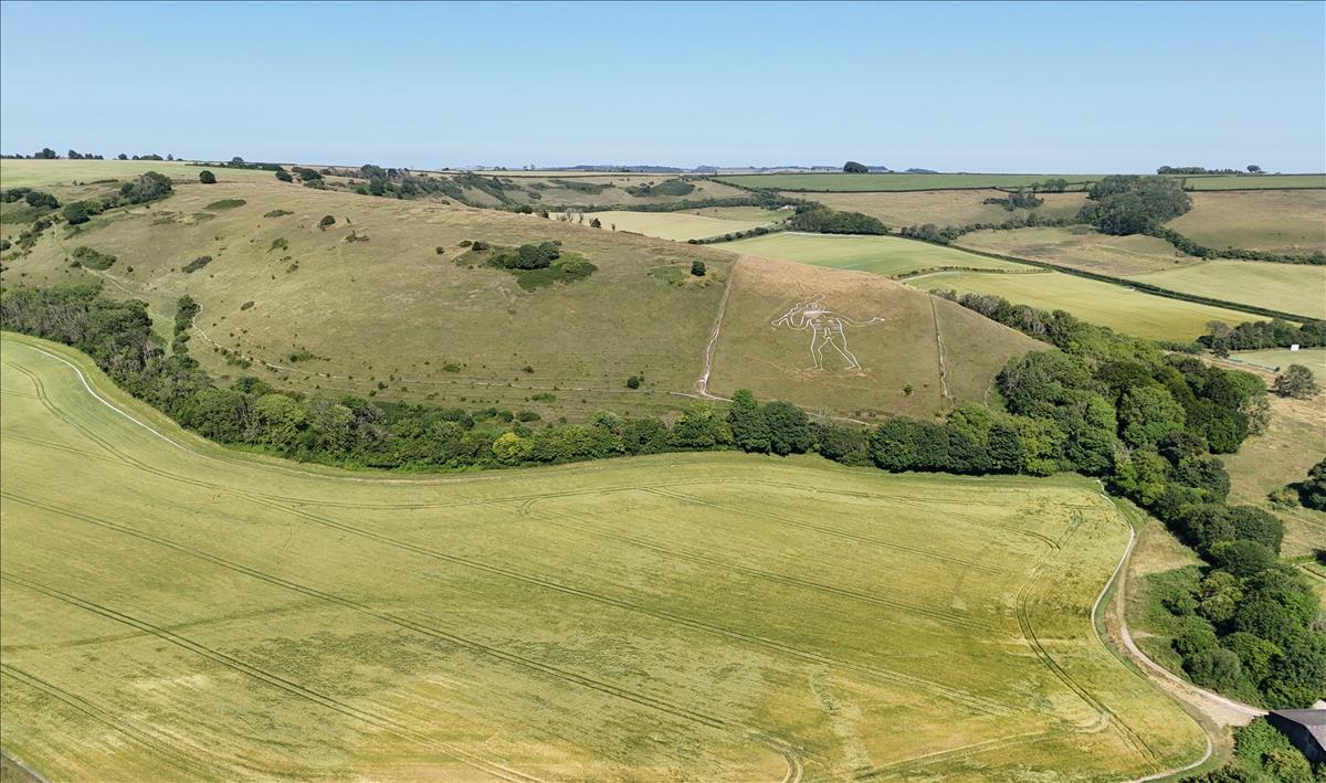 Image of the Cerne Abbas Giant