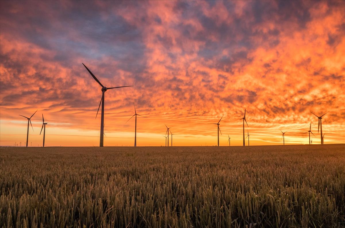 agents advising on environmental and renewable energy projects