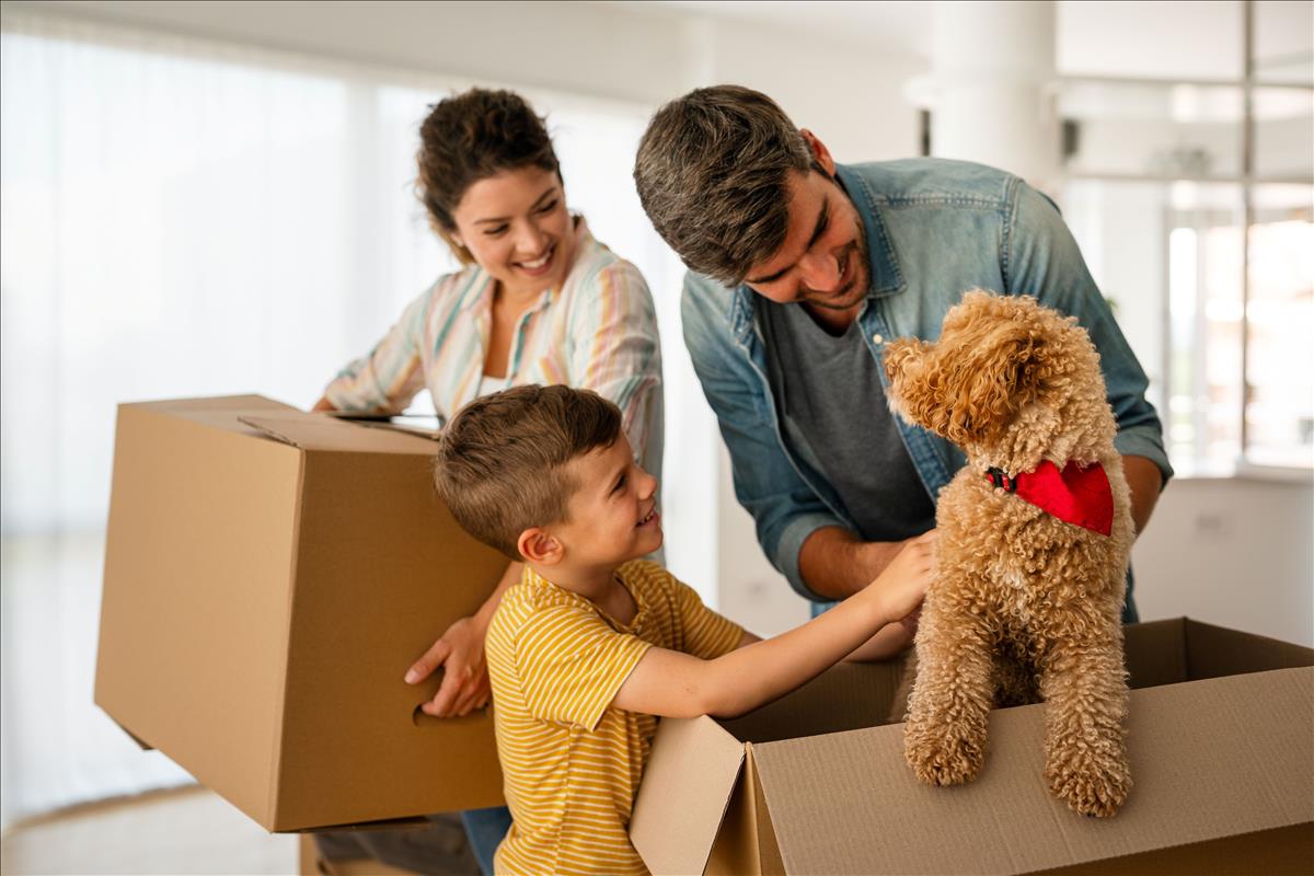 pets in rented property renters rights act symonds & sampson