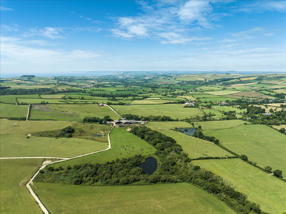 commercial farm sold in dorset