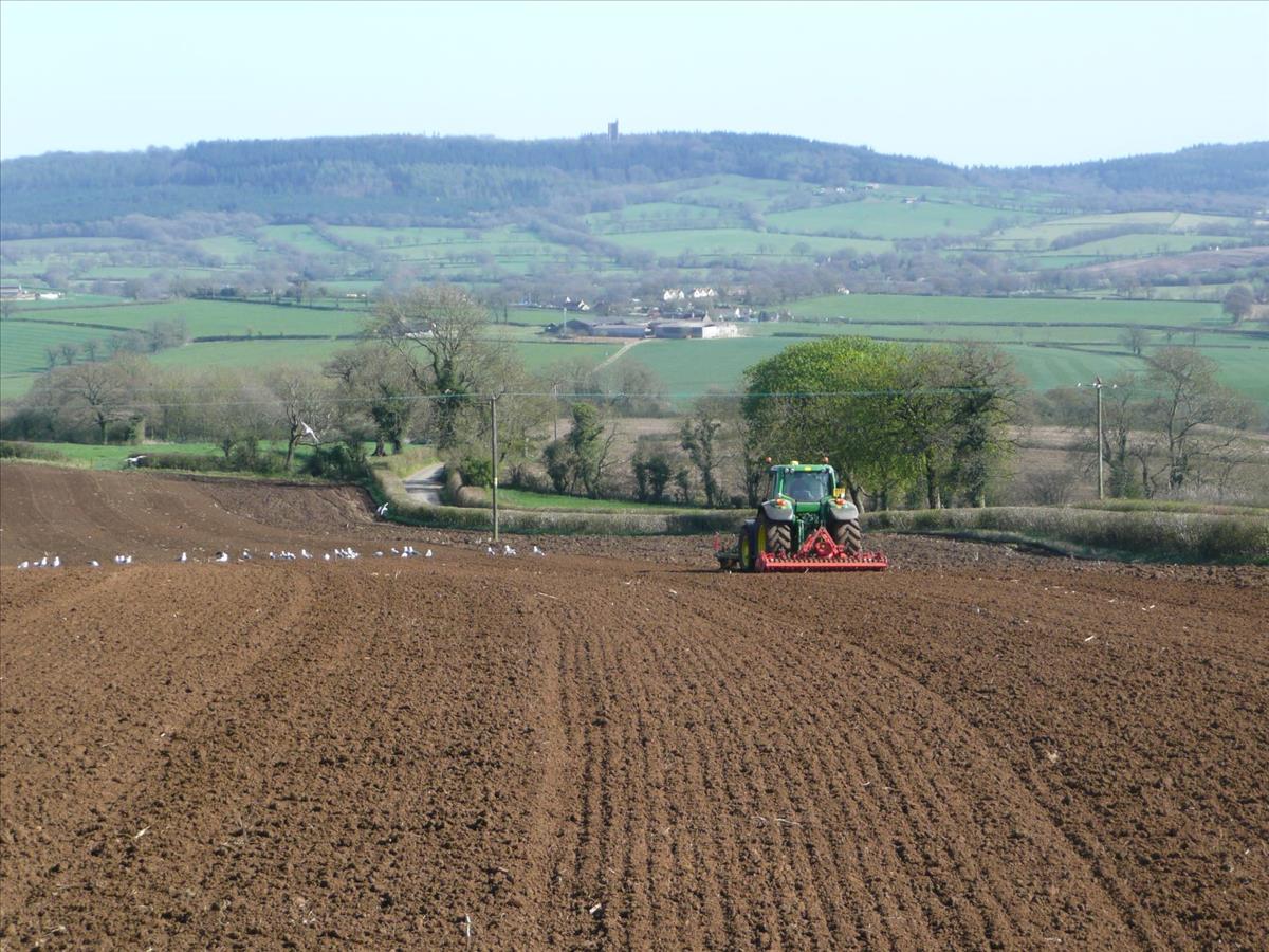 tractor ploughing field