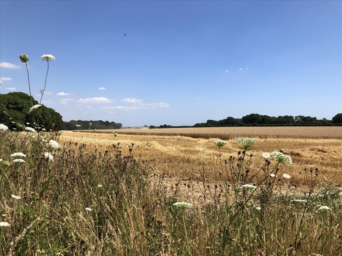 field margins. Rural grants experts Symonds & Sampson