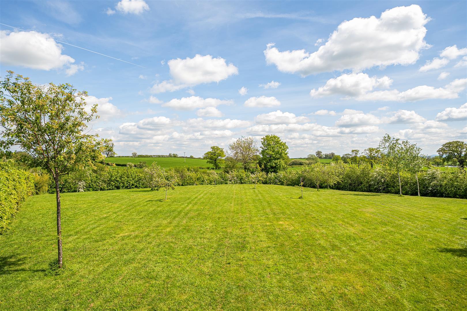 Property Image a01ceb21-0adb-4711-9fc9-772caefbb1b0