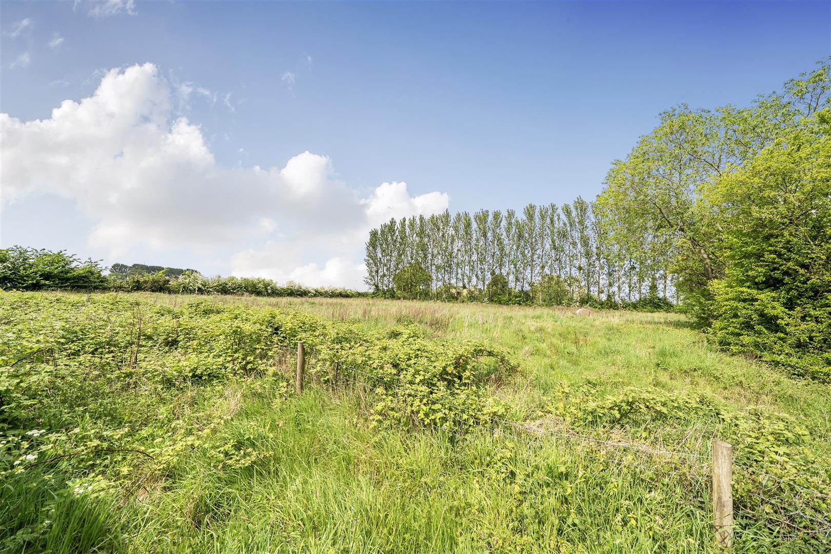 Property Image a03e4ec9-90d2-4326-96b8-895faeba9bce
