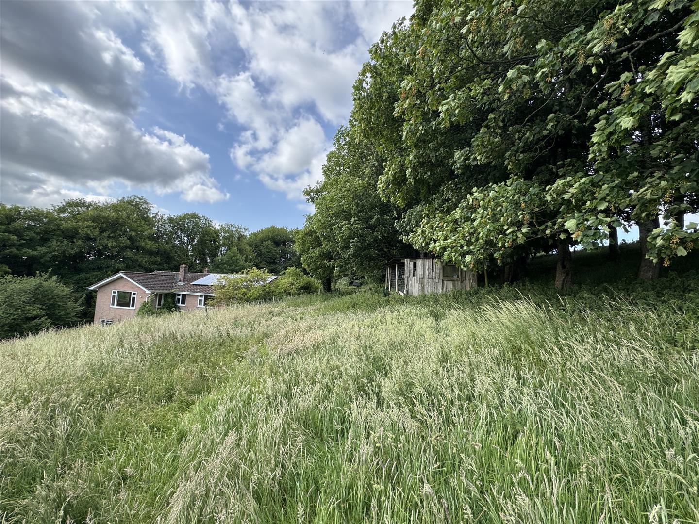 Property Image a055ed74-a7e4-411a-bee5-48048c92c214