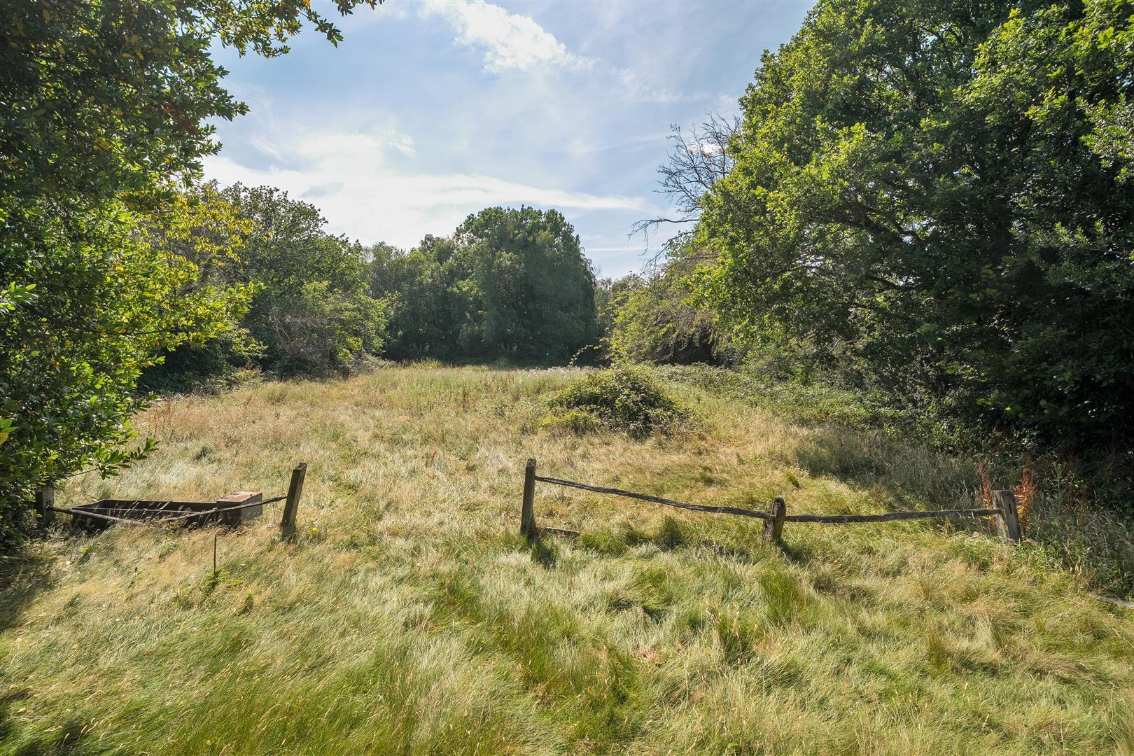 Property Image a0dc1b66-182a-4a41-a4d0-1bacf378a3b1