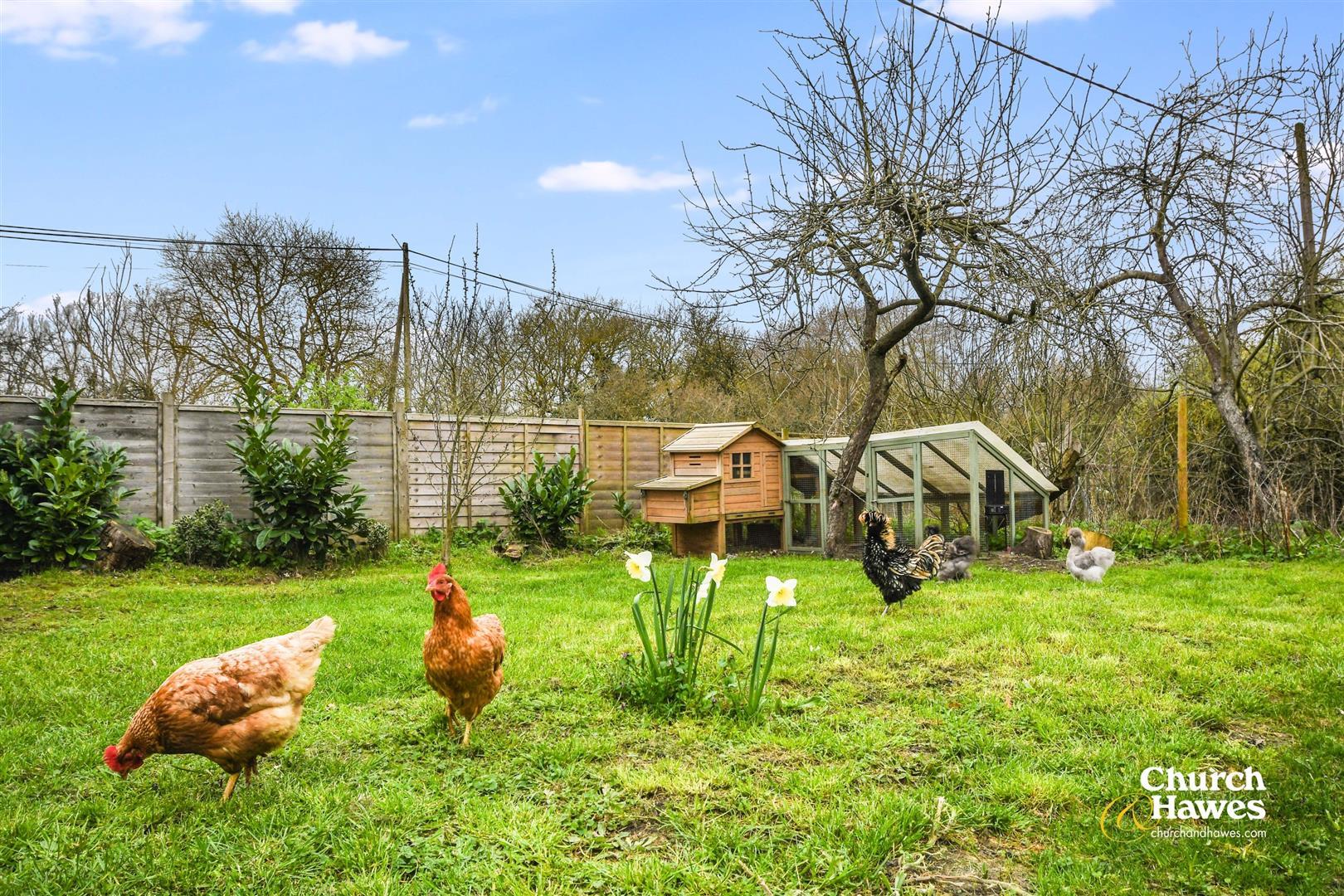Property Image a0ecbe95-f2ca-4c11-a63d-60e063538c47