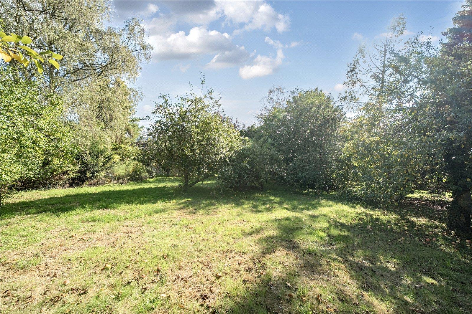 Property Image a0eefb78-287d-484d-b95a-9d899d67d2e5