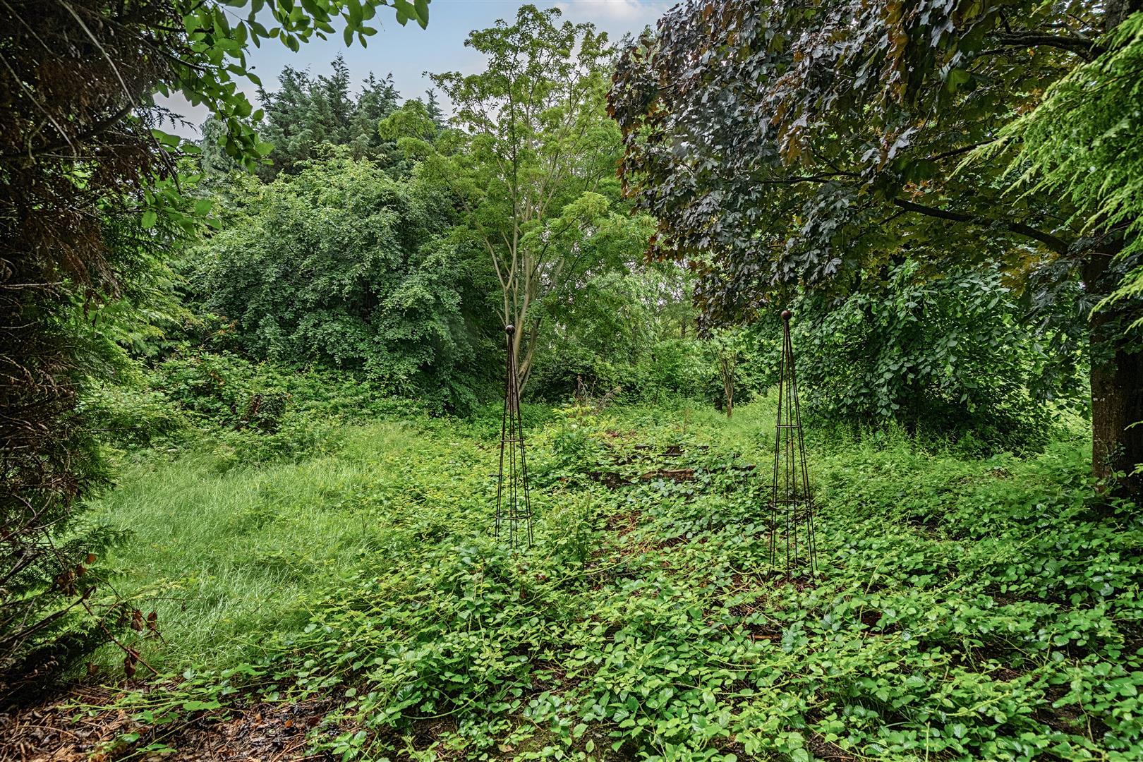 Property Image a10eca1d-48dd-479c-aa4f-d409e4d2893f