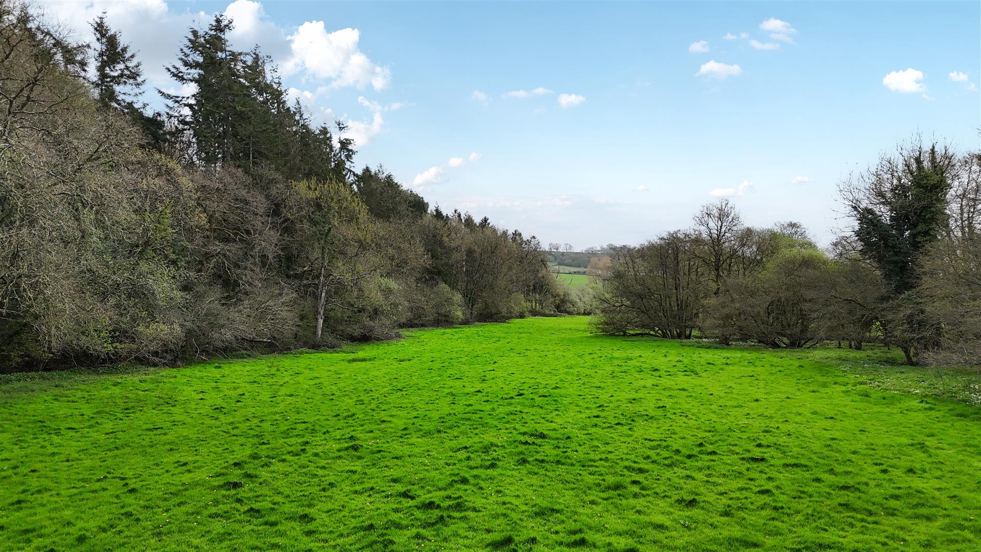 Property Image a152ab51-a198-41fd-8b8f-8174c1bc4e01