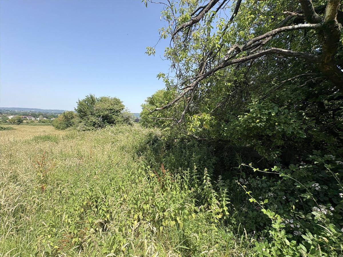 Property Image a185f484-7b59-4d6b-9bc5-0f44d88b9753