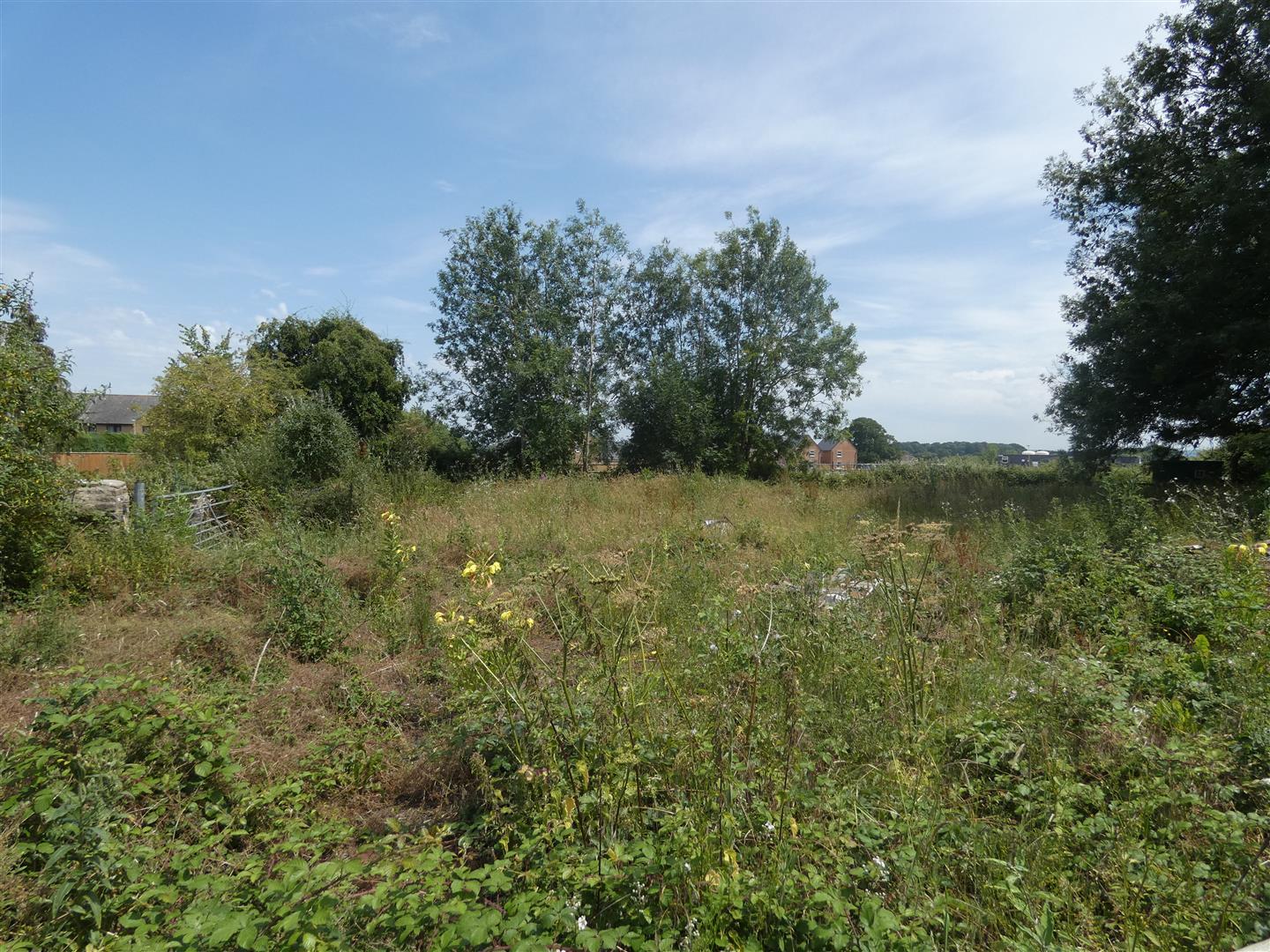 Property Image a1891a03-44f3-4e7f-b79d-60d9ae70e56e