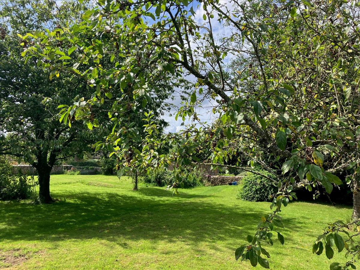Property Image a19f9e25-55df-4ae0-ba85-44c5d5eeec5e