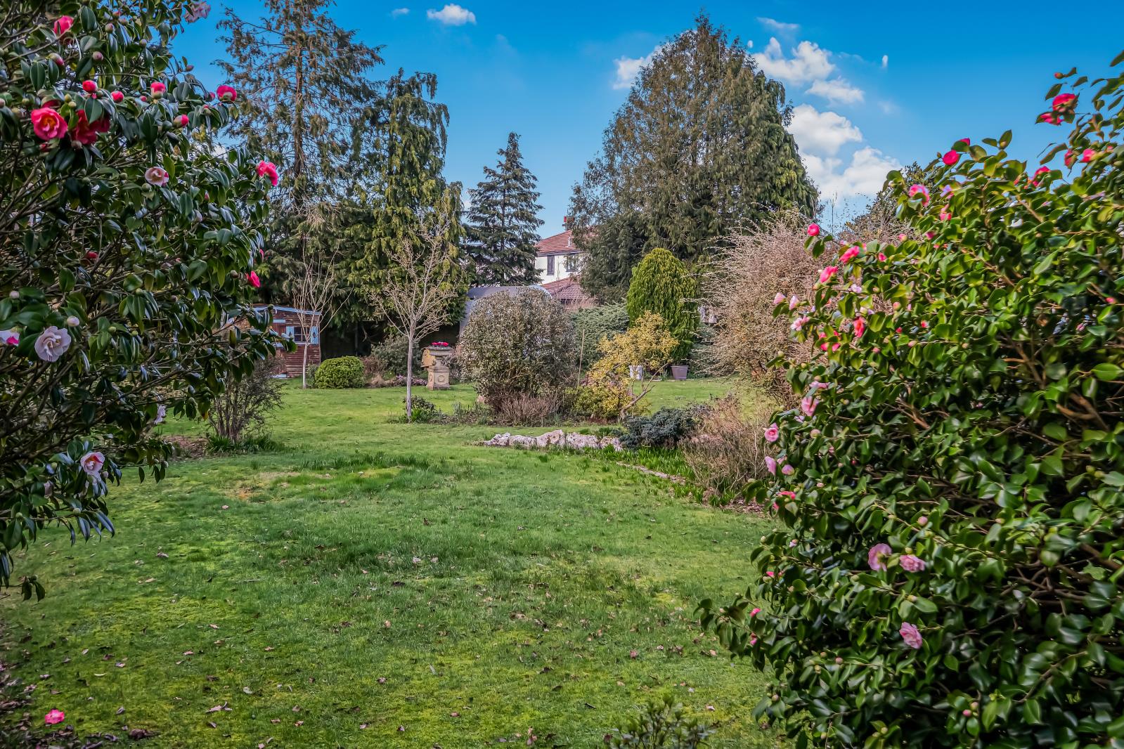 Property Image a1bb4b5d-7175-4fb3-bcf3-22323f2f71c3