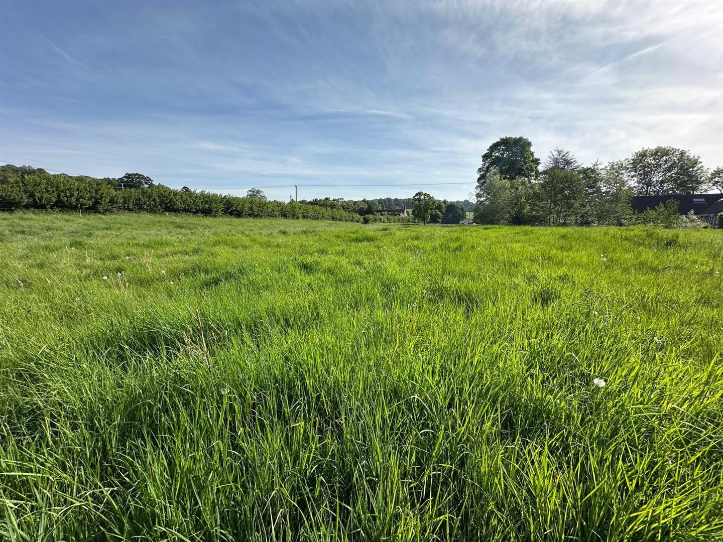 Property Image a1bcb345-1dc4-4999-bd60-3cb27fb41ff3