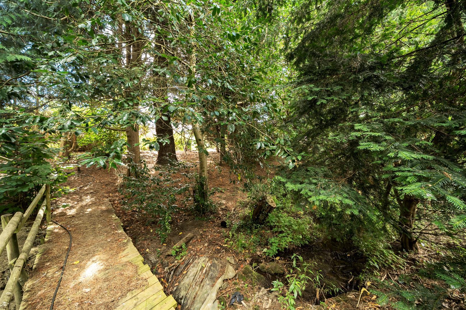 Property Image a1c0a006-d803-49d9-bd27-937d4284990e