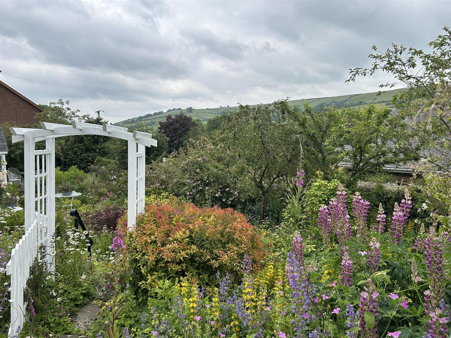 Image 28