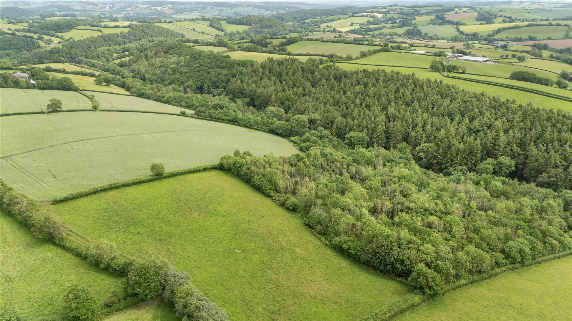 Property Image a21592b9-5d64-4af9-96a1-010148bf0673