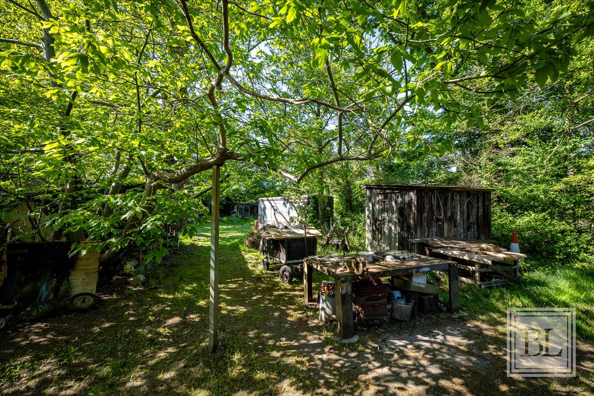 Property Image a220ae8c-4c2a-48a3-bae0-8c43f5fe181a